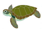 Green Sea Turtle Pin