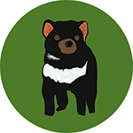 Tasmanian Devil Bottle Opener Magnet (Green)