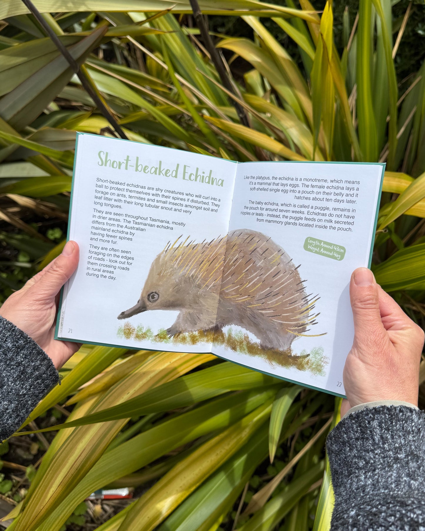 The (almost) Complete Guide to the Mammals of Tasmania