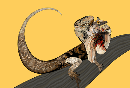 Australian Animal Card - Frillnecked Lizard
