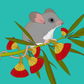 Australian Animal Card - Little Pygmy Possum