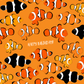 Clownfish Happy Birthday Card