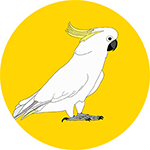 Sulphur Crested Cockatoo Bottle Opener Magnet