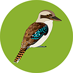 Kookaburra Bottle Opener Magnet