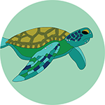 Sea Turtle Bottle Opener Magnet