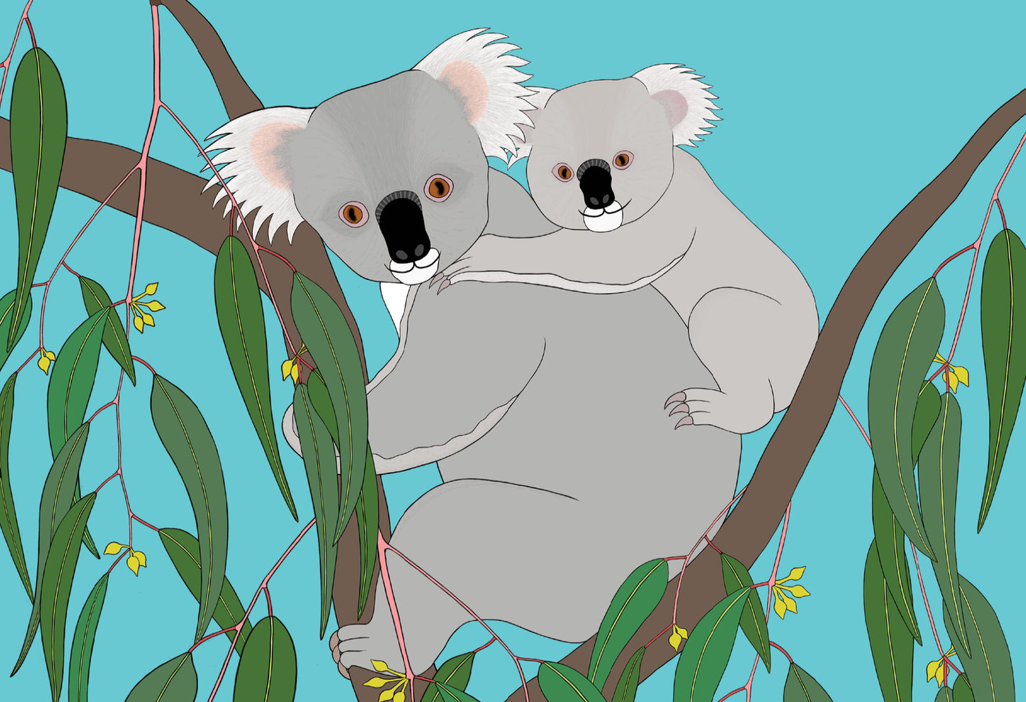 Australian Animal Card - Koala