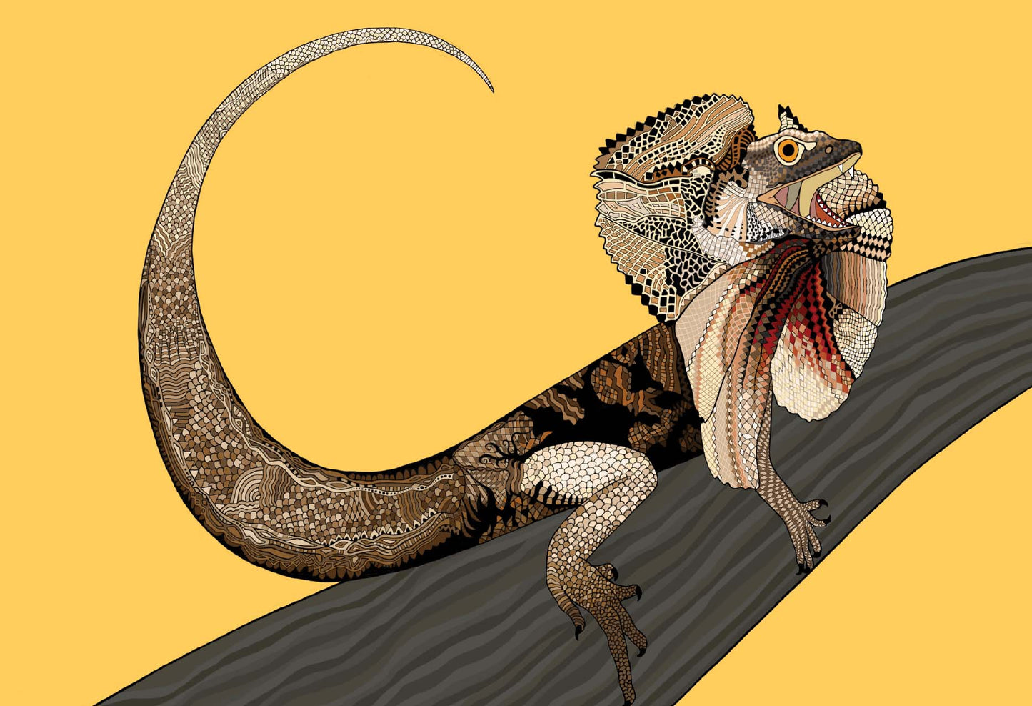 Australian Animal Card - Frillnecked Lizard