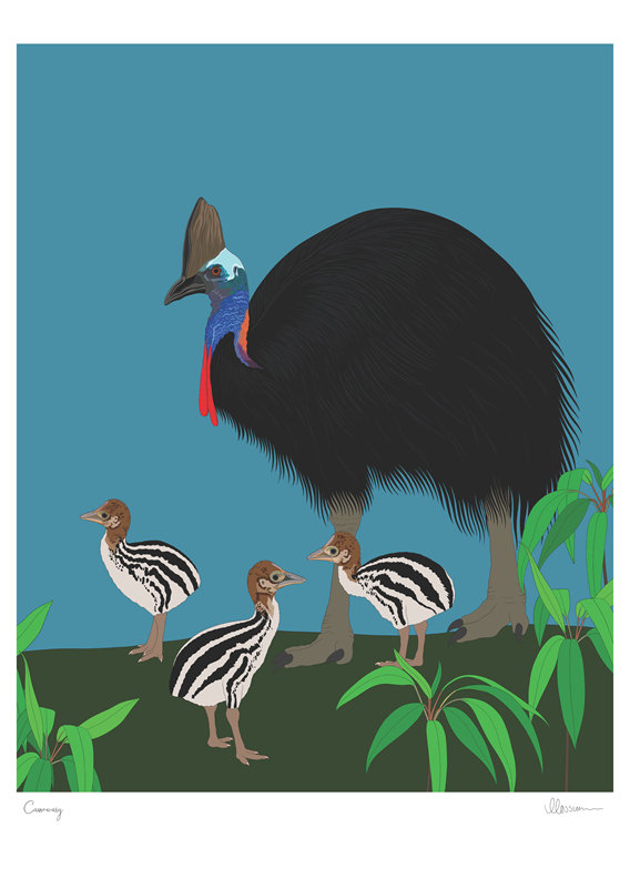 Southern Cassowary Print