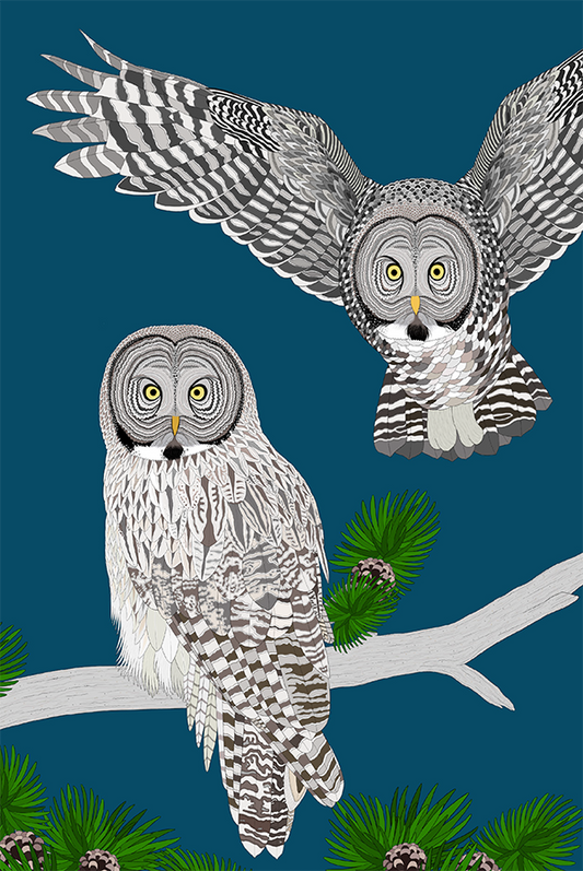 Great Grey Owl Card