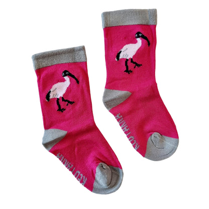 Ibis Socks