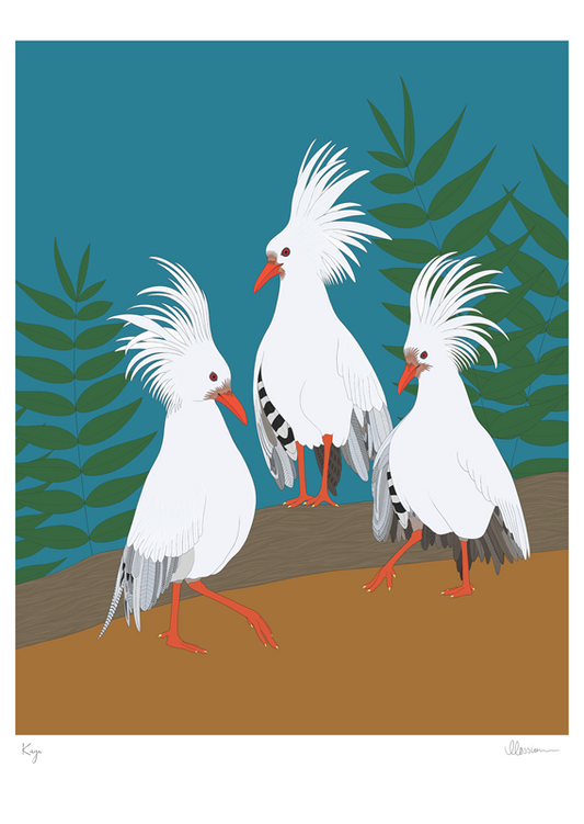 Kagu Print