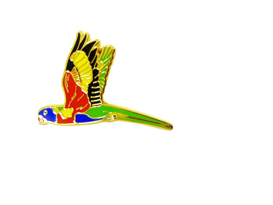 Rainbow Lorikeet Pin