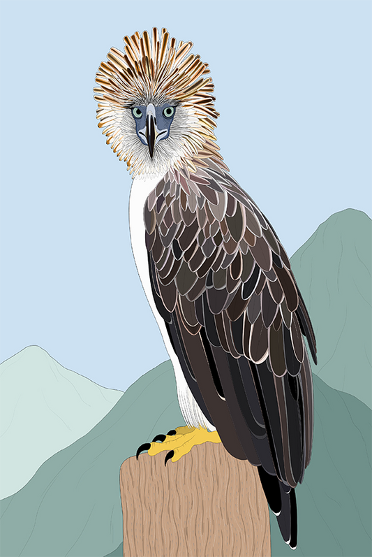 Philippine Eagle Card