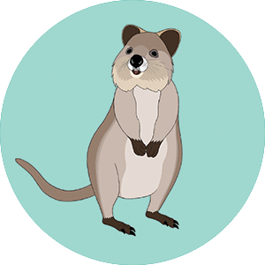 Quokka Bottle Opener Magnet