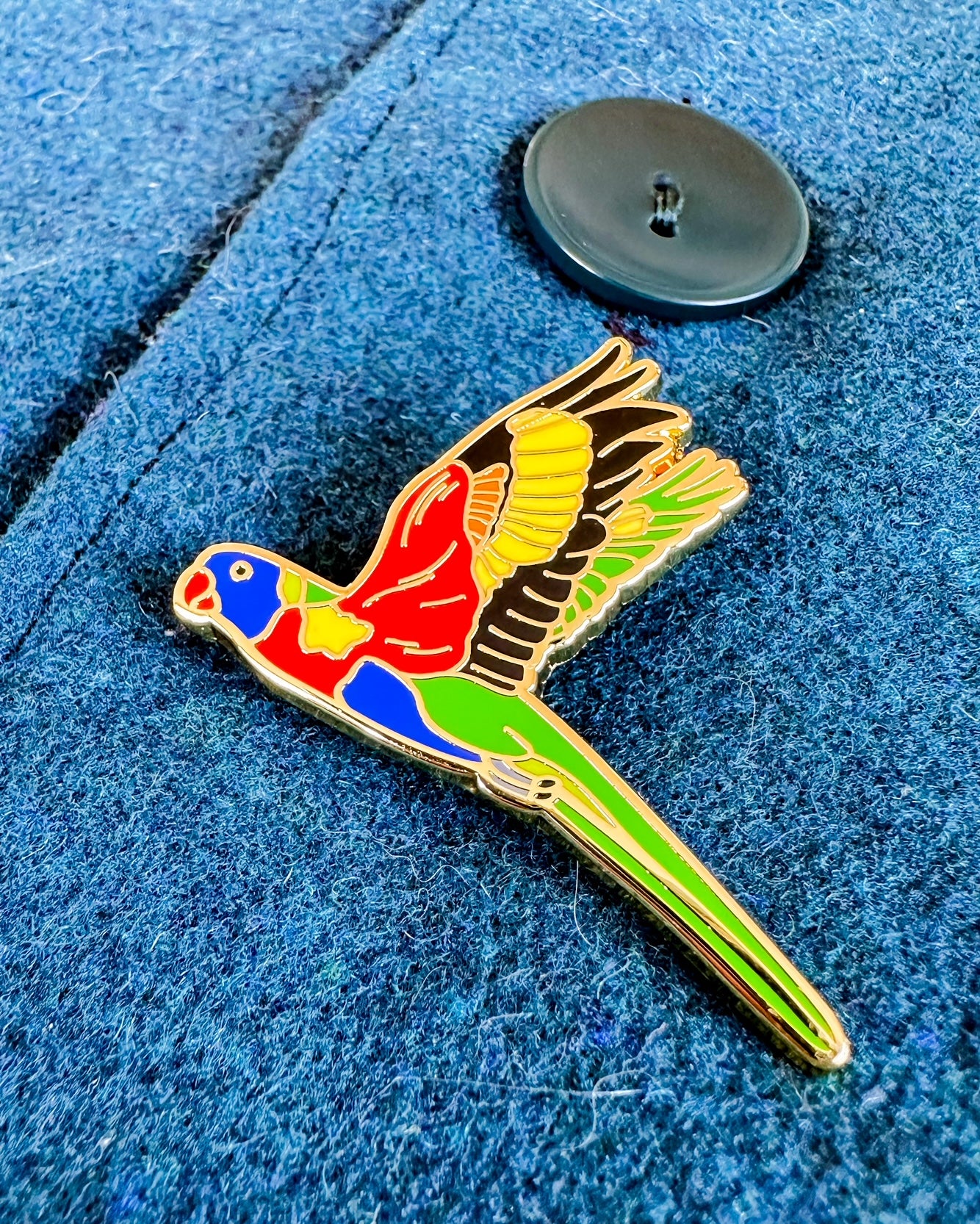 Rainbow Lorikeet Pin