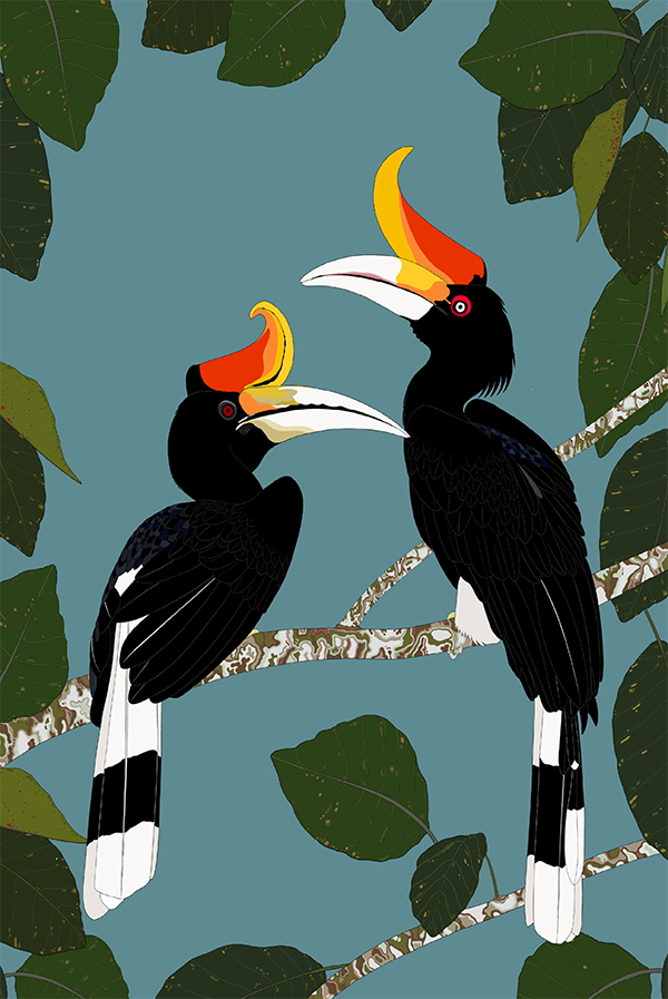 Rhinocerous Hornbill Card