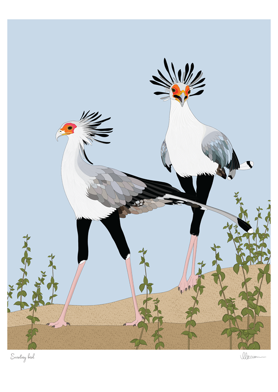 Secretary Bird Print