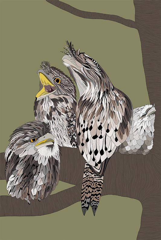 Tawny Frogmouth Card