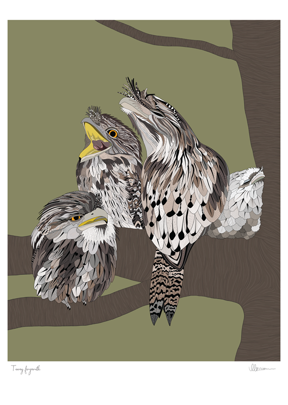 Tawny Frogmouth Print