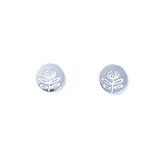 Tasmanian Waratah Silver Studs