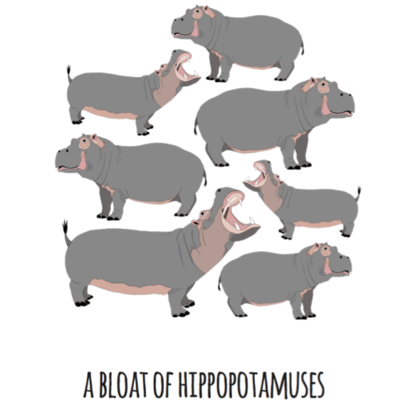 A Bloat of Hippopotamuses Art Print