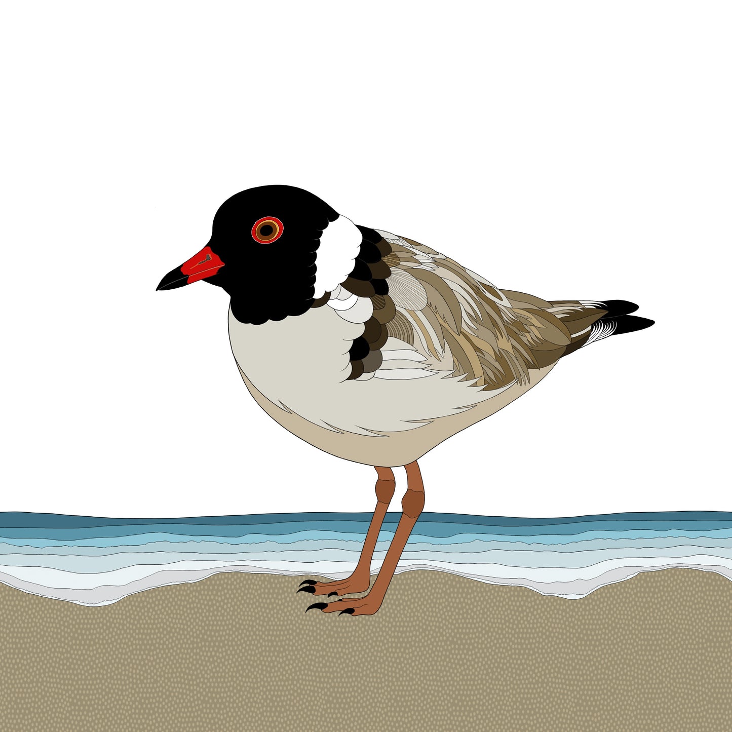 A-Z Australian Animals Hooded Plover Art Print