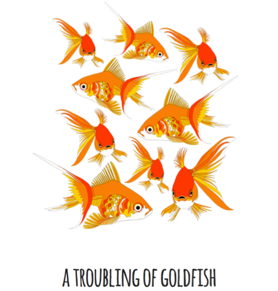 A Troubling of Goldfish Art Print