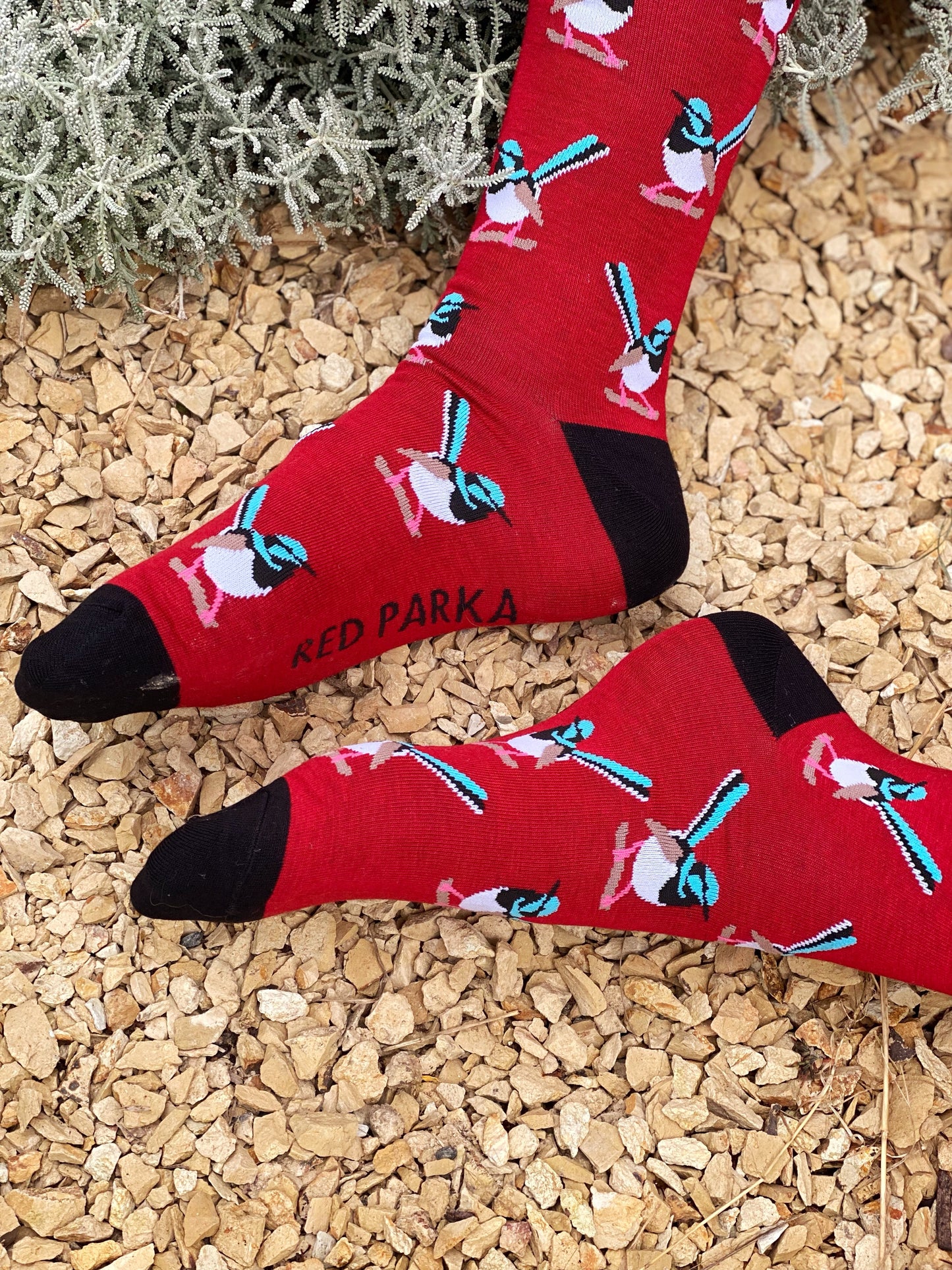 Fairy Wren Socks (Red)