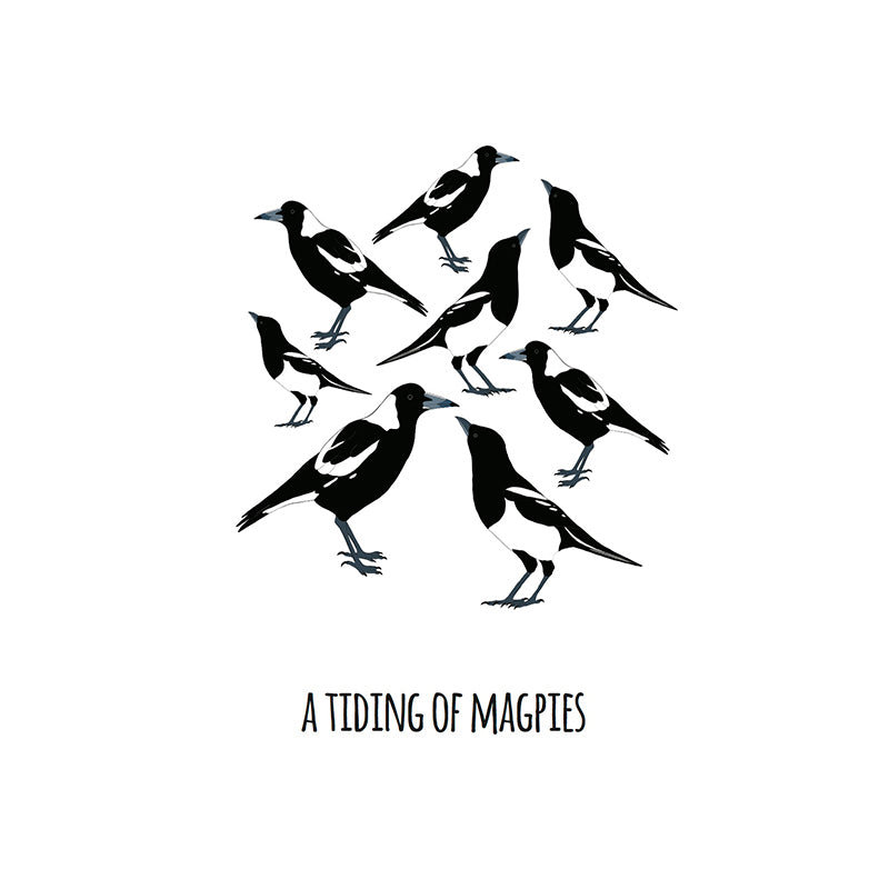 A Tiding of Magpies Art Print